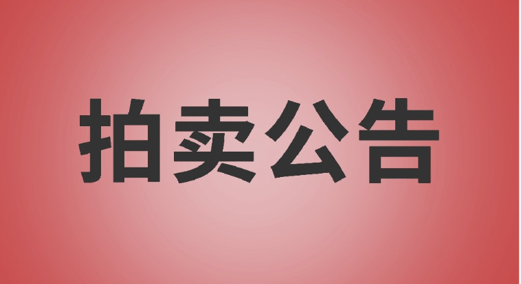 辽宁辽东拍卖有限公司：2025金康借字B号（B1号至B1223号）一般债权资产拍卖公告